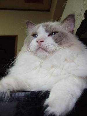120105 004.jpg