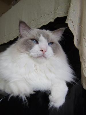 120105 008.jpg