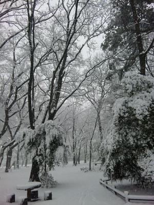 120229_092207.jpg