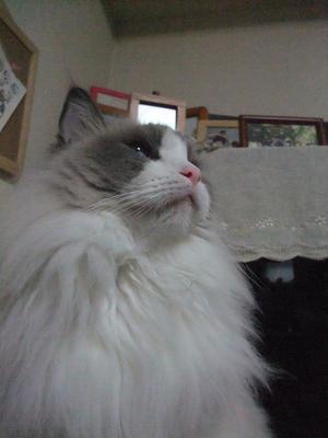 120503 005.jpg