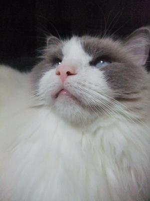 120503 012.jpg