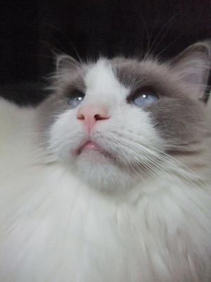 120503 013.jpg