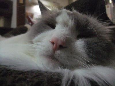 120522 010.jpg
