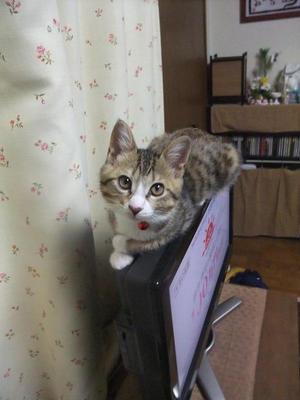1301012 007.jpg