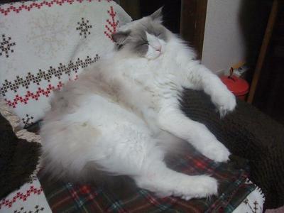 13010122 003.jpg