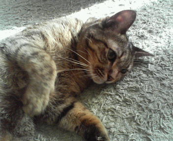 200701190911000.jpg