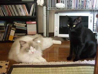 DSCF3788.jpg